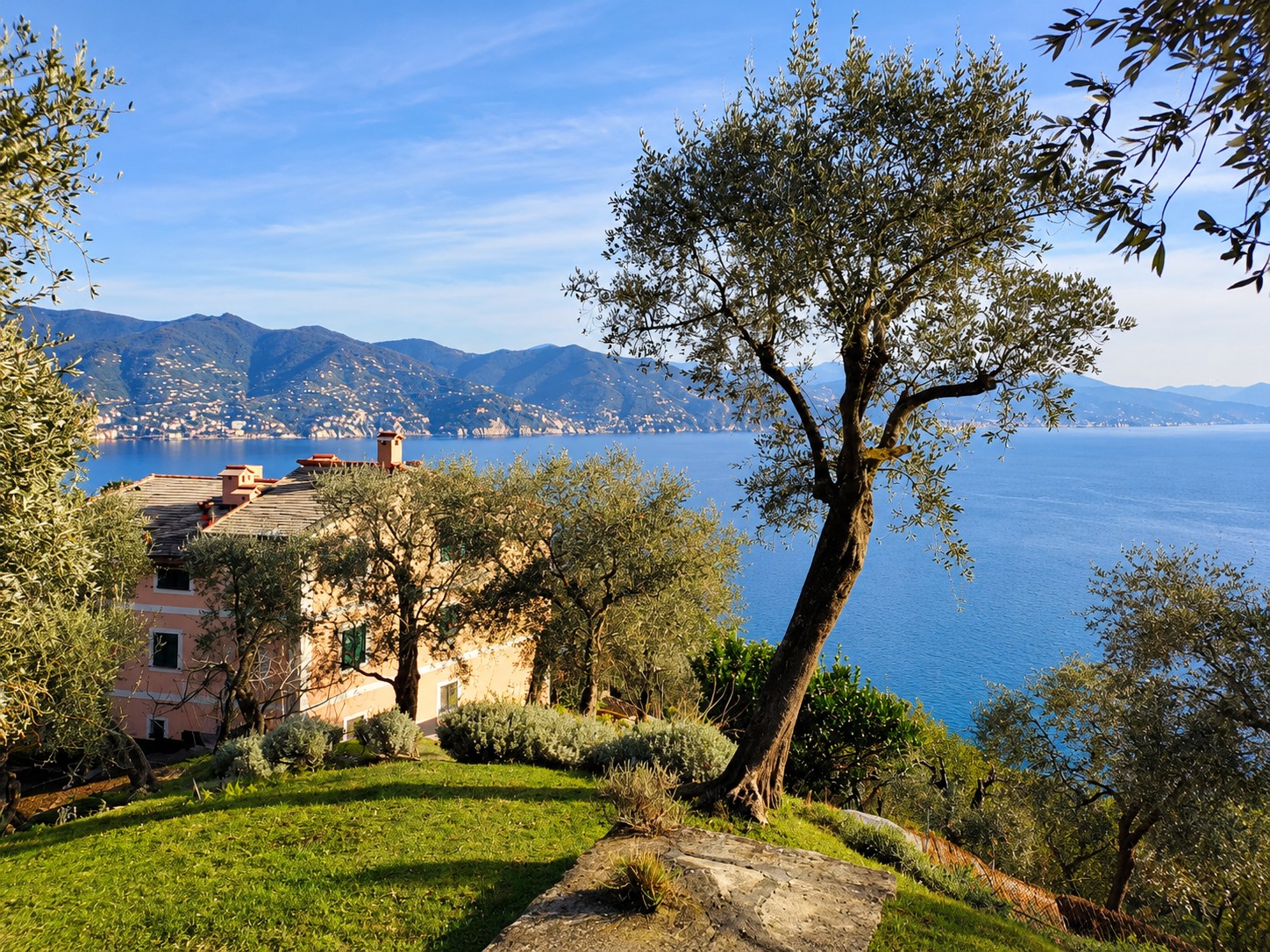 La casa e l’ulivo affacciati sul Golfo da Nozarego