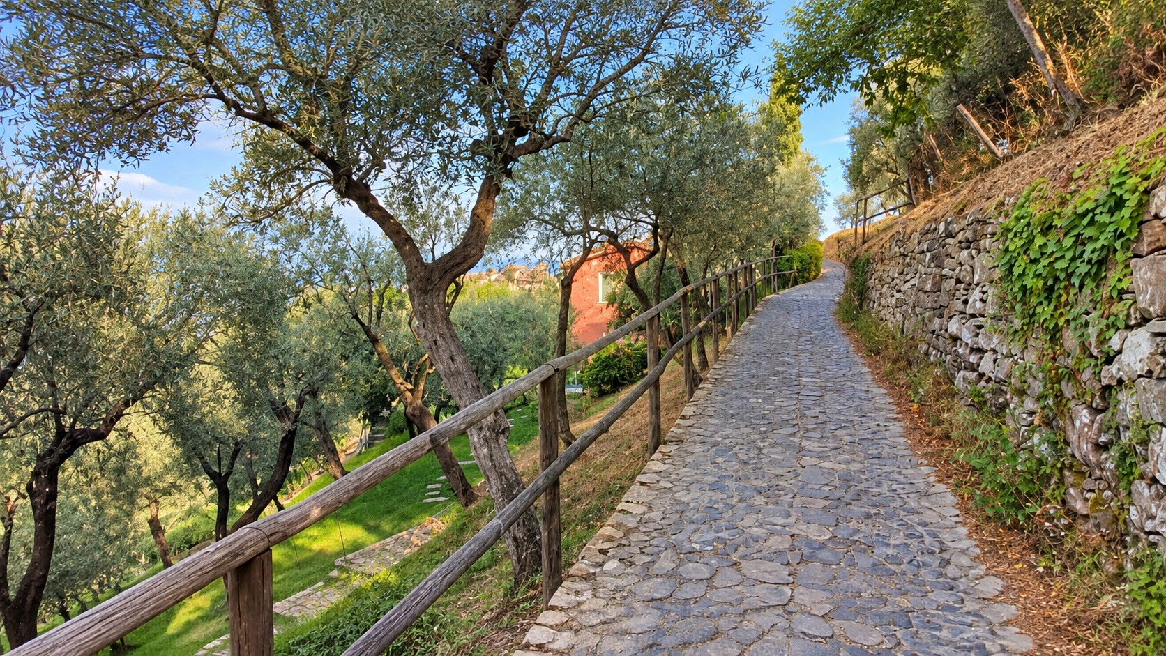 Il sentiero in pietra tra gli ulivi a Nozarego